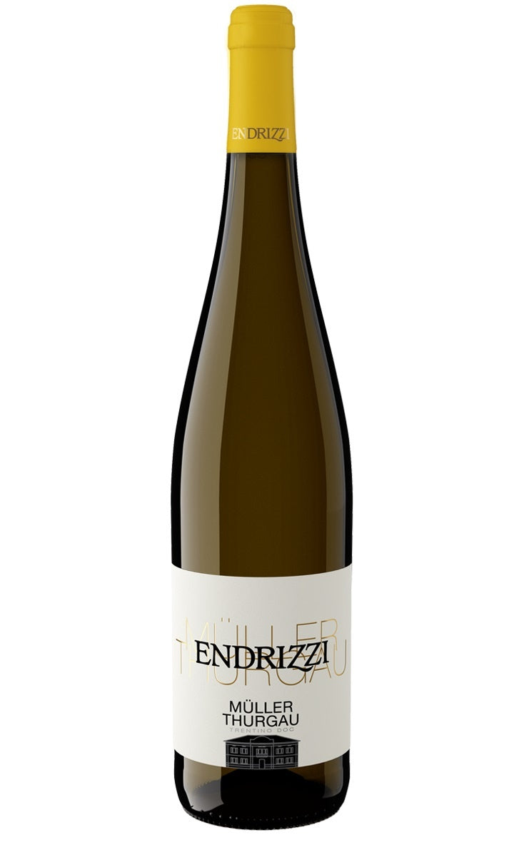 Endrizzi Müller Thurgau Trentino Witte wijn uit Italië – Endrizzi