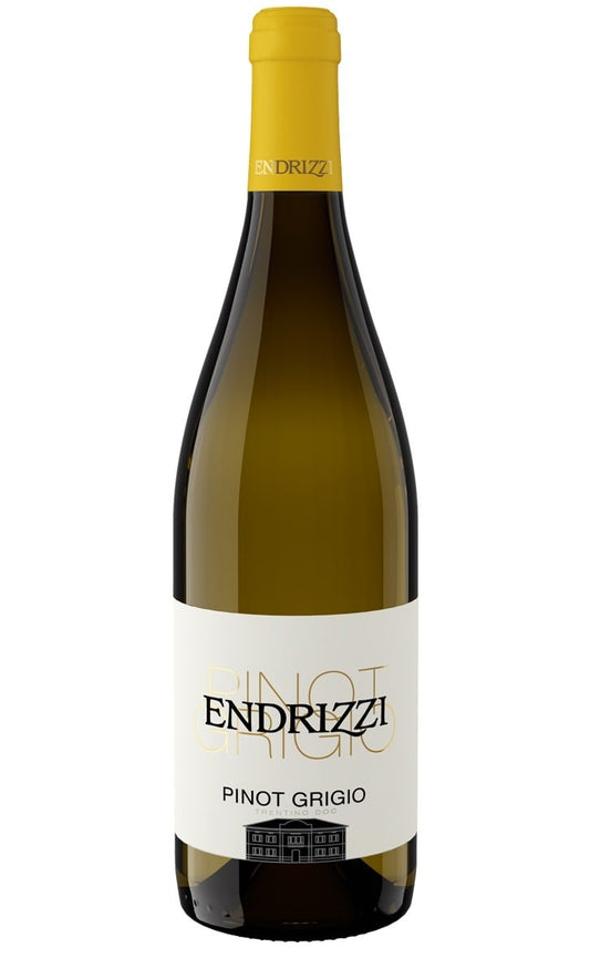 Endrizzi Pinot Grigio Trentino Witte wijn uit Italië – Endrizzi