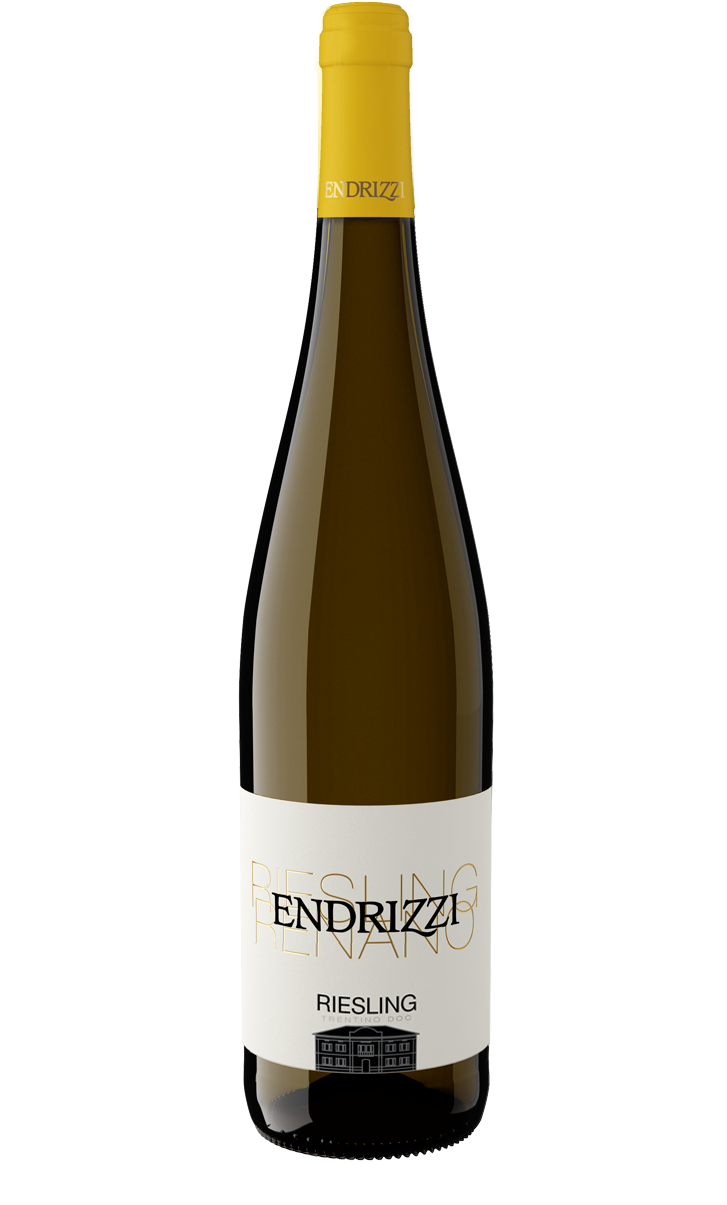 Endrizzi Riesling Trentino Witte wijn uit Italië – Endrizzi