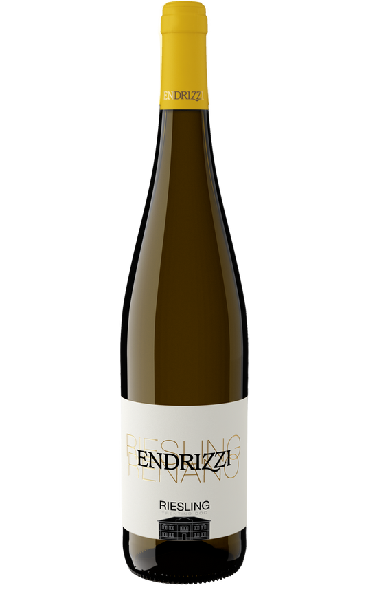 Endrizzi Riesling Trentino Witte wijn uit Italië – Endrizzi
