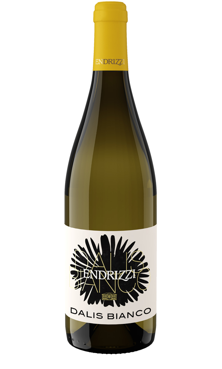 Endrizzi Dalis Bianco Witte wijn uit Italië – Endrizzi
