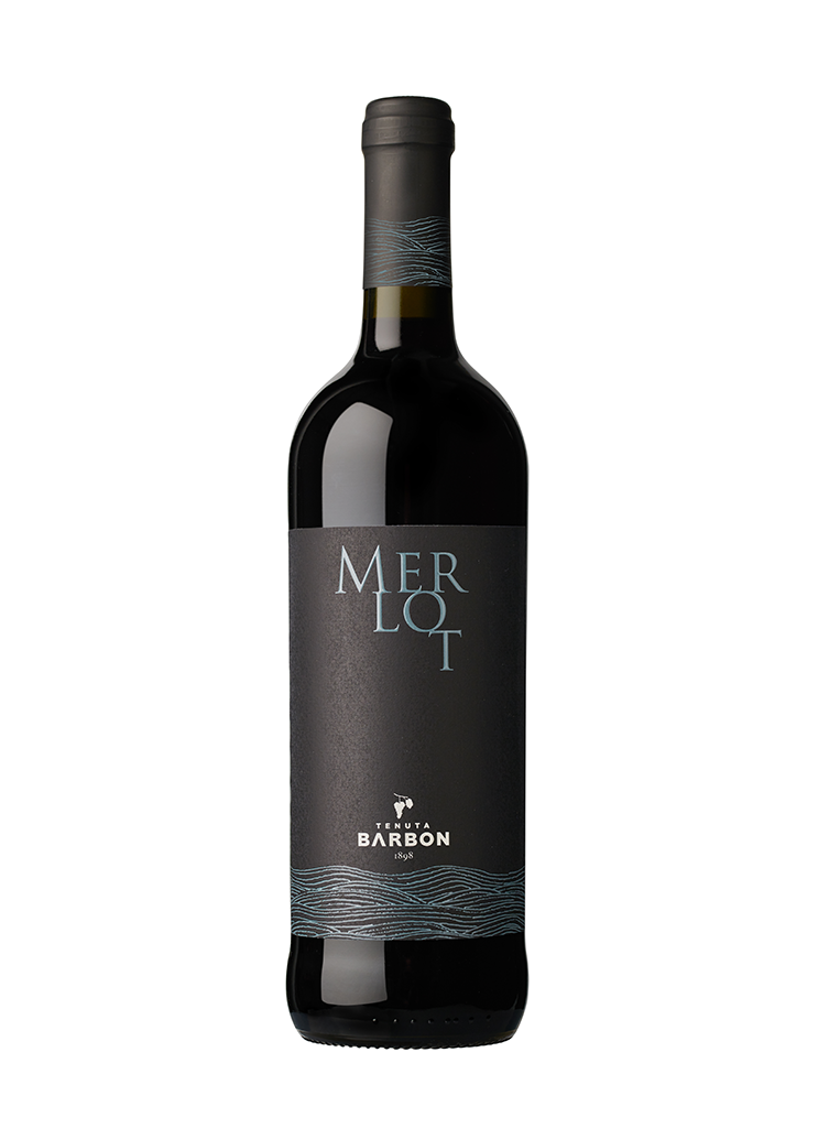 Merlot IGT Trevenezie Witte wijn uit Italië – Tenuta Barbon